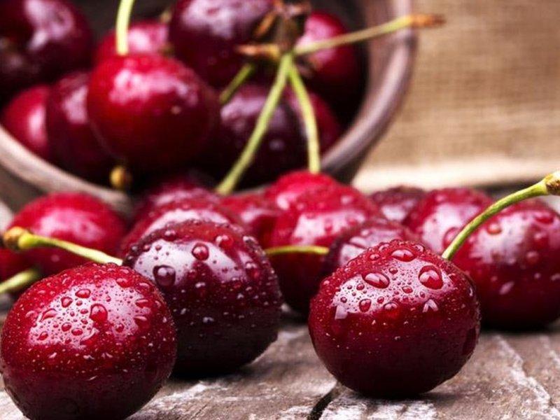 Вишня купить саженцы из питомника в Ставрополе